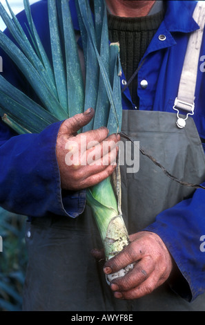 Mann mit großen Lauch in der Nähe seiner Brust Gärtner Lincolnshire UK Stockfoto