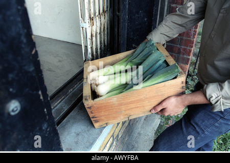 Mann mit großen Lauch in der Nähe seiner Brust Gärtner Lincolnshire UK Stockfoto