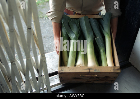 Mann mit großen Lauch in der Nähe seiner Brust Gärtner Lincolnshire UK Stockfoto