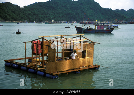 Montage schwimmende Haus Cat Ba Hafen leben viele Menschen in den Dörfern schweben auf dem Wasser des nördlichen Vietnam Halong-Bucht Stockfoto