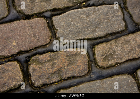 Alte Straße mit Kopfsteinpflaster. Stockfoto