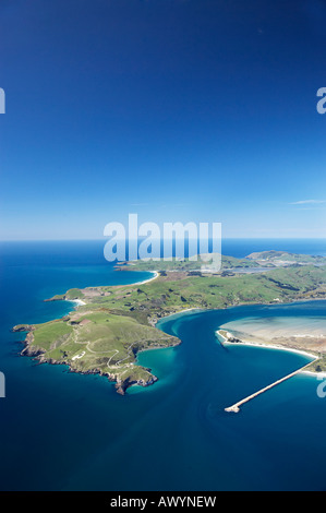 Taiaroa Head Otago Halbinsel Otago Hafeneinfahrt und Aramoana Dunedin Neuseeland Südinsel Antenne Stockfoto