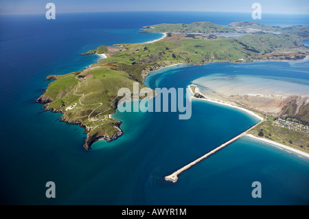 Taiaroa Head Otago Halbinsel Otago Hafeneinfahrt und Aramoana Dunedin Neuseeland Südinsel Antenne Stockfoto