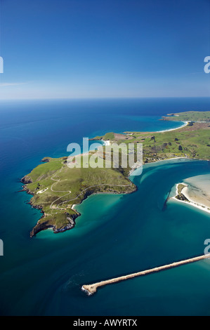 Taiaroa Head Otago Halbinsel Otago Hafeneinfahrt und Aramoana Dunedin Neuseeland Südinsel Antenne Stockfoto