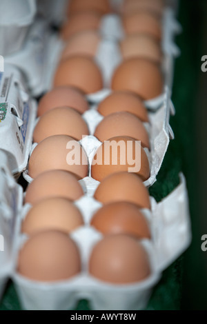 Schalen mit Bio-Eiern aufgereiht in einer Zeile in einer Tabelle in einer Markthalle Stockfoto