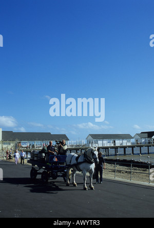 Adnams Pferd letzten Arbeitstag in Southwold in Suffolk Uk Stockfoto