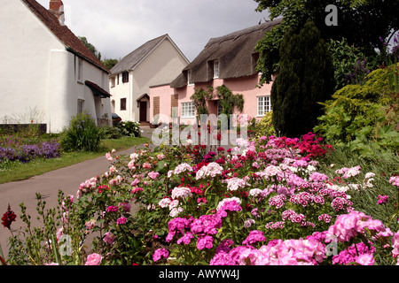 Somerset Dunster Blumen Bauerngärten im Park Street Stockfoto