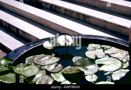 Wasser-Lilien in Schüssel in Tempel in Bangkok Thailand Stockfoto