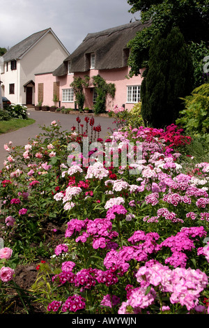 UK Somerset Dunster Bauerngärten im Park Street Stockfoto