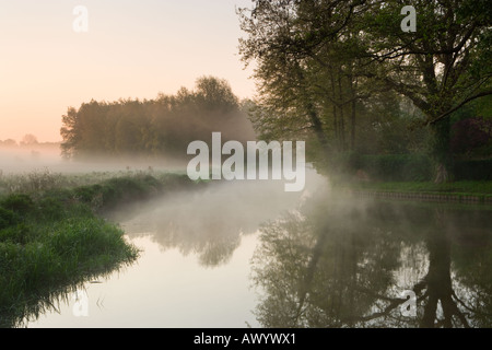 Eine neblige Frühling Sonnenaufgang am Fluss Wey in der Nähe von Guildford Surrey am Fluss Wey Navigationen Stockfoto