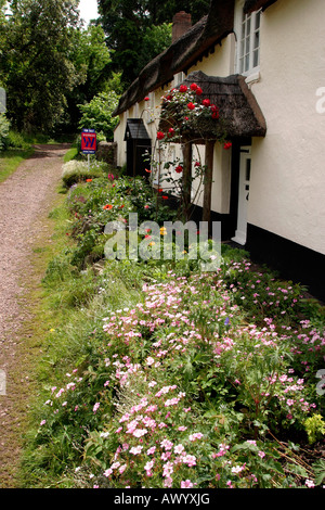 UK Somerset Dunster Bauerngärten im Park Street Stockfoto