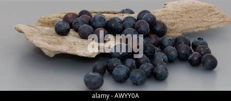 Heidelbeeren auf Stück Treibholz Stockfoto