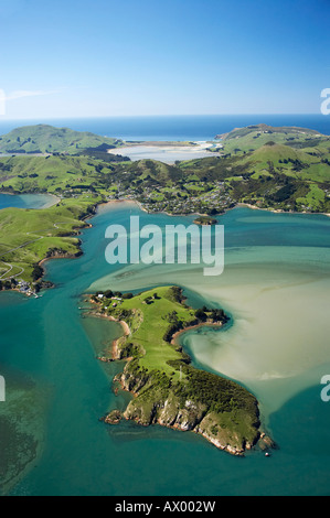 Portobello-Halbinsel links Otago Peninsula und Quarantäne Insel Otago Harbour Dunedin Neuseeland Südinsel Antenne Stockfoto