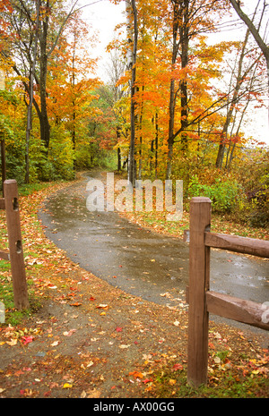 Vermont Weg durch Wald zeigt Herbstfarben im Regen Stockfoto