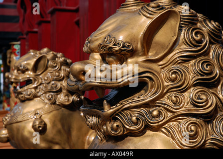 Chinesische kaiserliche Wächter Löwen, auch ein Fu Löwe oder ein Foo Dog genannt. Stockfoto