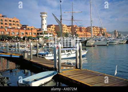 Elk162 3819 Mexiko Baja California Cabo San Lucas marina Stockfoto