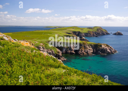 Saltee Inseln Küste in Frühlingssonne County Wexford Eire-Irland-Europa Stockfoto