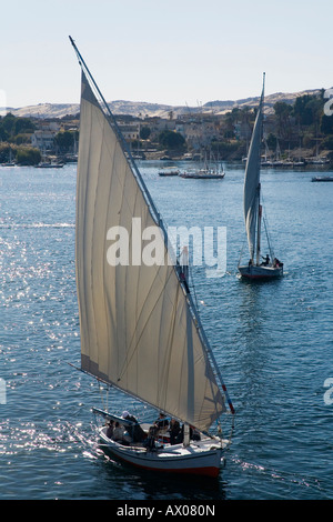 Feluke Boote Segeln auf den River Nile Aswan Oberägypten Nordafrika, Naher Osten Stockfoto