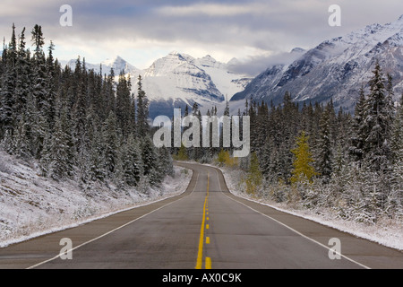 Der Icefields Parkway zwischen Banff & Jasper in Banff-Jasper National Parks, Rocky Mountains, Kanada Stockfoto