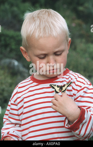 Schwalbenschwanz (Papilio Machaon), sitzen auf der Seite von ein zwei Jahre alter Junge Stockfoto