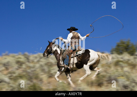 Cowboy Reiten und Lasso Wildwest, Oregon USA werfen Stockfoto