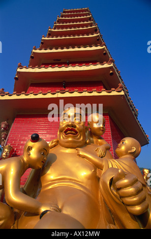 China, Hongkong, neue Territorien, Sha Tin, Zehntausend Buddhas Kloster Pagode Stockfoto