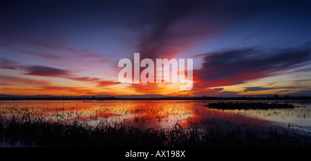 Sonnenuntergang über Feuchtgebiete Bosque del Apache National Wildlife Refuge Socorro New Mexico USA Stockfoto