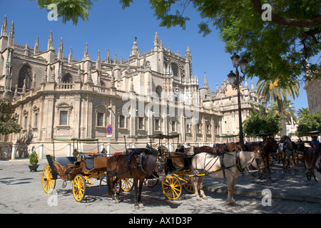 Pferdekutschen vor der Kathedrale, Sevilla, Andalusien, Spanien Stockfoto