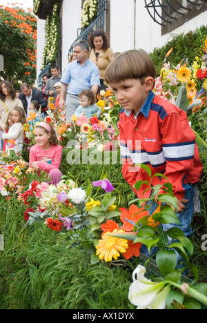 April Blumenfest, Praca Municipio, Kinder, indem Blumen in die "Mauer der Hoffnung," Funchal, Madeira, Portugal, Europa Stockfoto