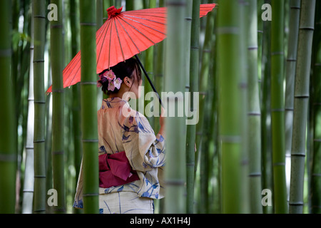 Eine Frau trägt einen Kimono und stehen in einem Bambushain Stockfoto