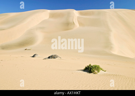 Sanddünen, verboten Diamant Bereich, Saddlehill, Namibia, Afrika Stockfoto