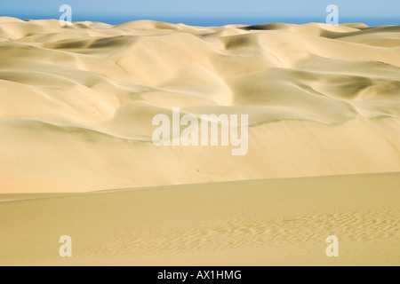 Sanddünen, verboten Diamant Bereich, Saddlehill, Namibia, Afrika Stockfoto