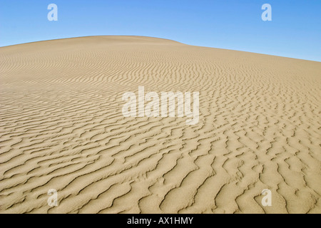 Sanddünen, verboten Diamant Bereich, Saddlehill, Namibia, Afrika Stockfoto