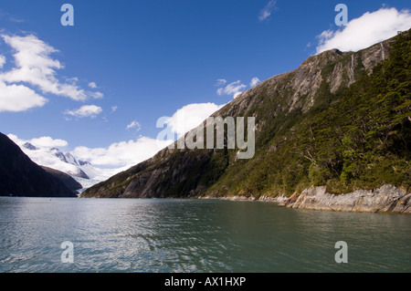 Chile Patagonien Tierra del Fuego Darwin Nationalpark Garibaldi Fjord Stockfoto