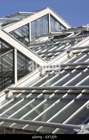 Gewächshaus-Windows am Kew Gardens in London Stockfoto