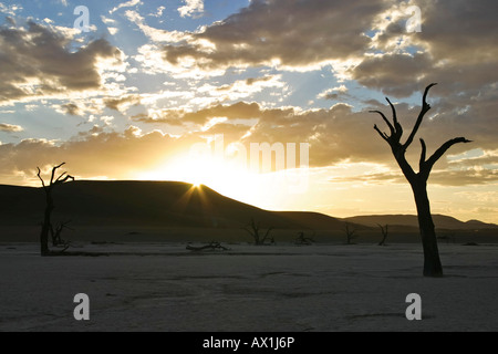 Tote Bäume zwischen den Dünen der Namib-Wüste, Deadvlei, Namibia, Afrika Stockfoto