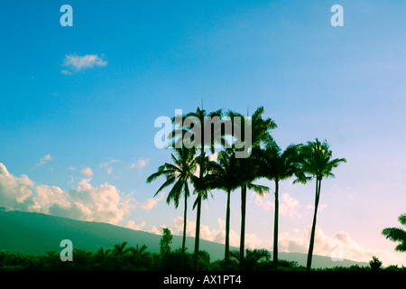 Réunion - Küstenlandschaft Stockfoto