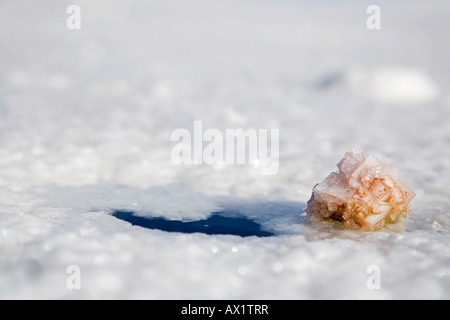 Salzkristall vorne ein Loch in der Salzkruste, Salz See Salar de Uyuni, Altiplano, Bolivien, Südamerika Stockfoto