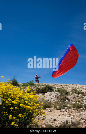 Paragleiter beim Start, San Javier, Murcia, Spanien, Europa Stockfoto