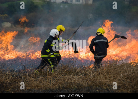 Feuerwehrleute, die Bewältigung einer Bürste Feuer im historischen Roche Rock, St Austell, Cornwall. Stockfoto