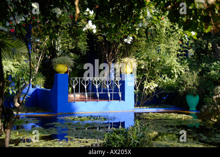 Blaue Terrasse am Teich versteckt in grünen Pflanzen im Garten Jardin Majorelle Marrakech in Marokko Stockfoto