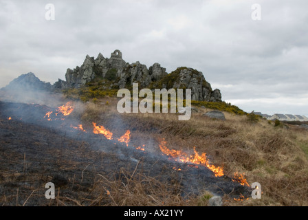 Feuerwehrleute, die Bewältigung einer Bürste Feuer im historischen Roche Rock, St Austell, Cornwall. Stockfoto