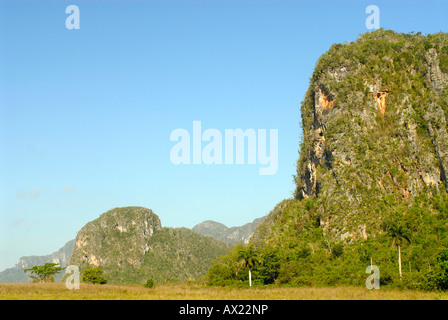 Mogotes, Karst Felsformationen in der Nähe von Vinales, Kuba, Karibik, Amerika Stockfoto