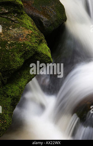 Kaskade, Europa, Deutschland, Bayern, Bayrischer Wald (Bayerischer Wald) Stockfoto
