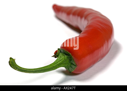 Rote Chilischote Stockfoto