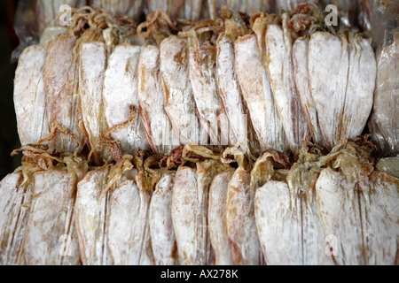 Haiphong Nord-Vietnam Asien Stockfoto