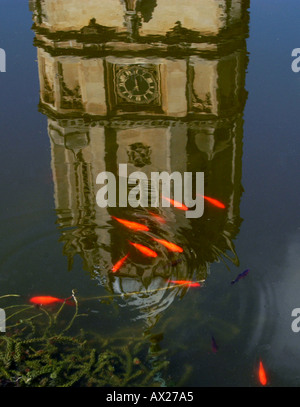 Der Fischteich in der Quad am College in Christchurch spiegelt Tom Tower Pic Rob Judges Stockfoto