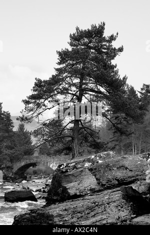 Fällt der Dochart bei Killin, im Ortsteil Mühltal in der Nähe von Loch Lomond und Trossachs National Park, Schottland Stockfoto