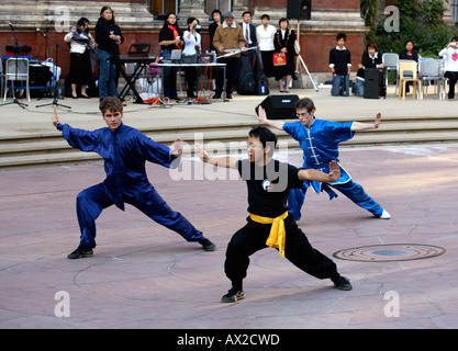 Imperial College Chinese Wushu Society Demo Team perform different Haltungen/Haltungen/Bewegungen, Mid-Autumn Festival, V&A Museum, 8th. Oktober 2006 Stockfoto