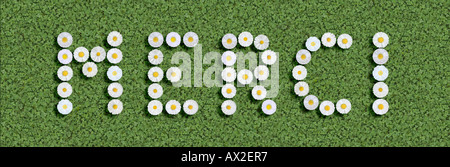 Merci danke danke Sie in Sprache geschrieben mit Blumen französischer Stockfoto